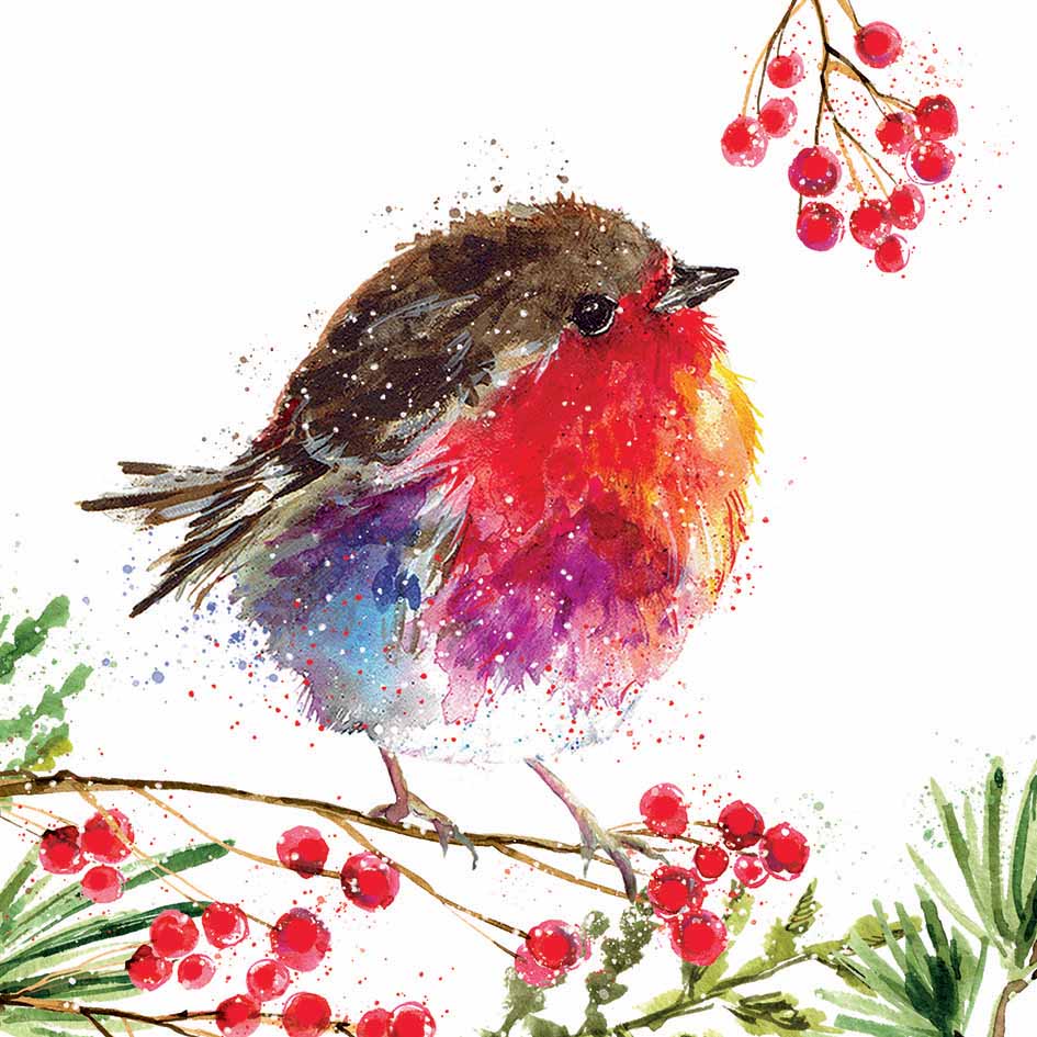 Fluffy Robin on Berry Branch & Fluffy Robin Junior Christmas Cards (Twin Pack)
