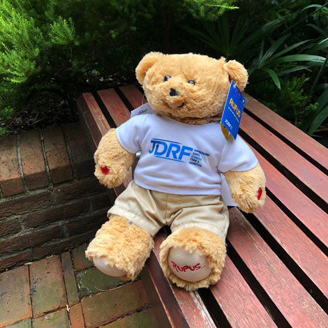 Rufus - the bear with type 1 diabetes